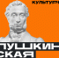 Молодежь может смотреть фильмы в кинотеатре «КИНОКЛУБ» за счет государства - Администрация Сафакулевского района