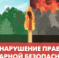 Ответственность за нарушения правил пожарной безопасности в лесах - Администрация Сафакулевского района